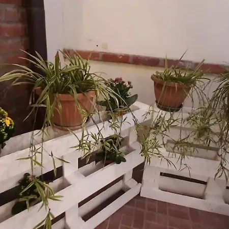 Appartamento Lucia *